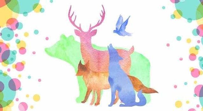 Тест: Выбранное вами животное расскажет, в чем заключается уникальность вашего характера