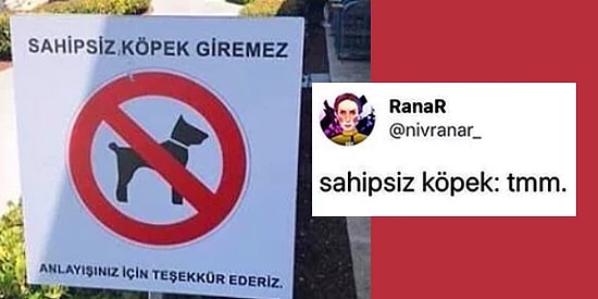 Beklenmedik Anlardaki Sürpriz Dönüşleriyle Kahkaha Seviyesini Zirveye Çıkartmış 11 Kişi
