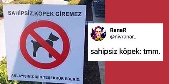 Beklenmedik Anlardaki Sürpriz Dönüşleriyle Kahkaha Seviyesini Zirveye Çıkartmış 11 Kişi