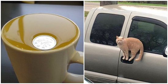 Doğru Zamanlama mı Sihir mi? Bu Fotoğraflar Fizik Kurallarından Şüphe Etmenize Sebep Olacak