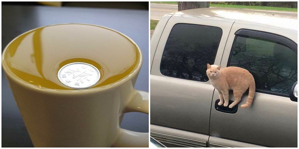 Doğru Zamanlama mı Sihir mi? Bu Fotoğraflar Fizik Kurallarından Şüphe Etmenize Sebep Olacak