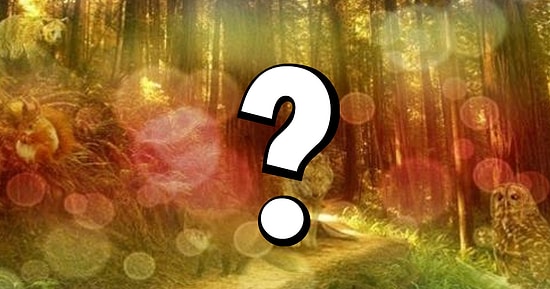 Тест: То, какое животное вы увидите первым, расскажет, как время изменило вас