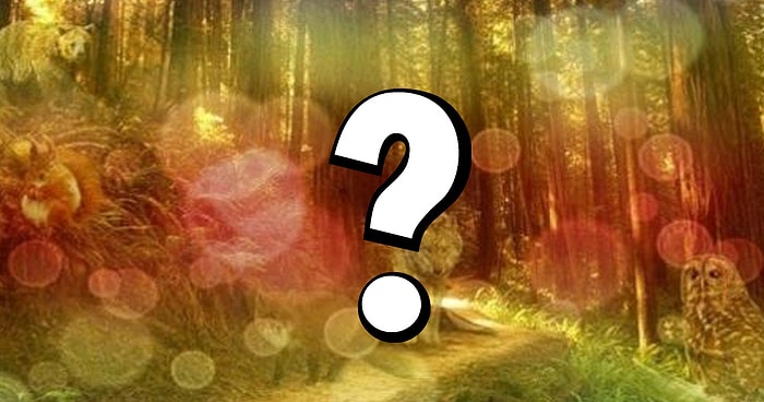 Тест: То, какое животное вы увидите первым, расскажет, как время изменило вас