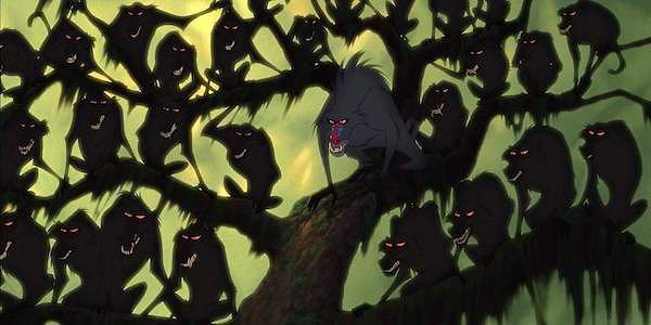 7. Где вы могли видеть этих обезьян?