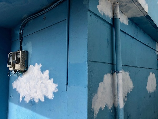 13. Сари Саттон – 1-е место в категории «Другое»