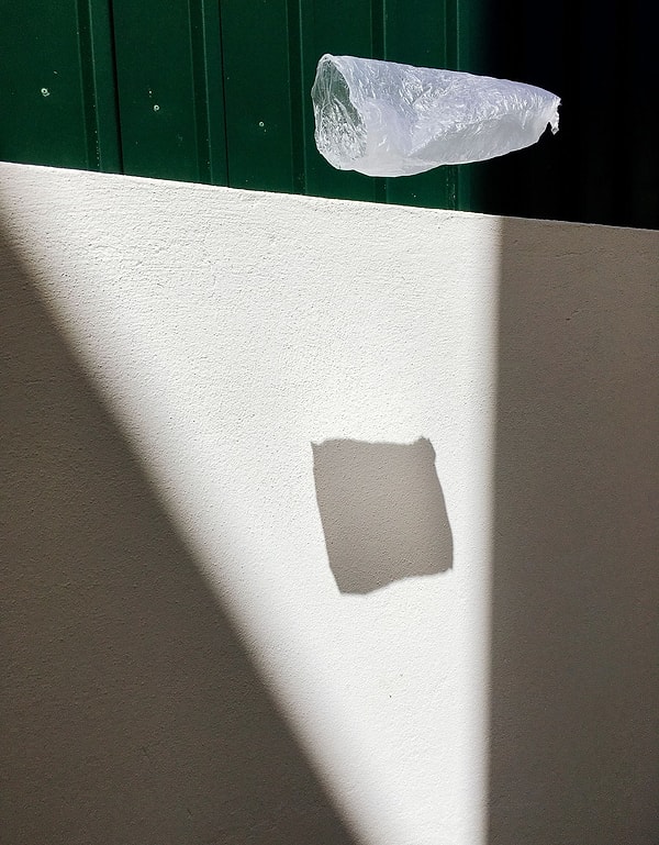 17. Кларита Фири Байердёрфер – 1-е место в категории «Натюрморт»