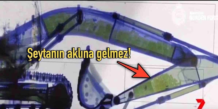 'Biraz Bakıp İşime Dönerim' Diye Açıp Sonuna Gelene Dek Gözlerinizi Ayırmayacağınız, İnternete Hükmeden 18 Görüntü!