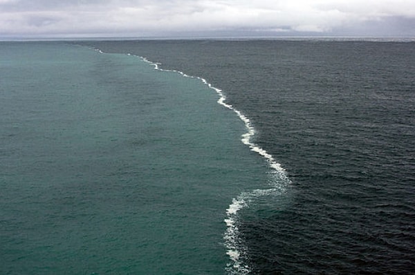 12. Бассейну какого океана принадлежит Гольфстрим?