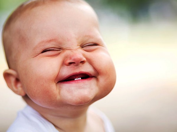 2. Какие зубы вырастают в последнюю очередь?