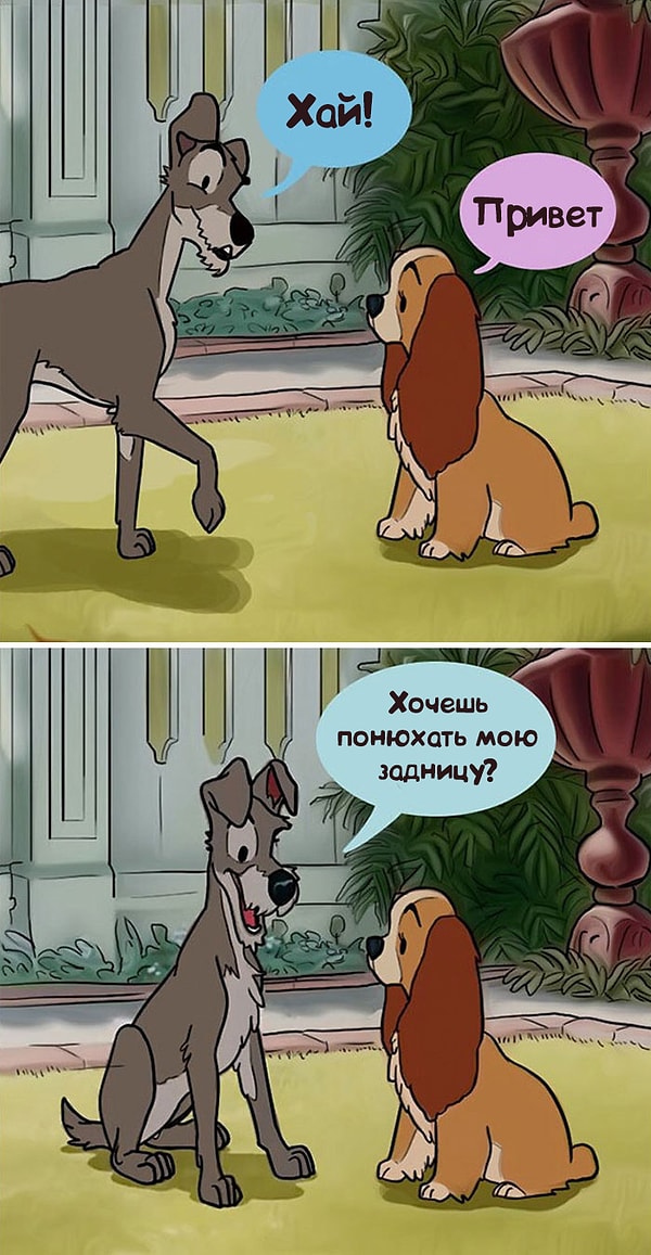 8. Леди и Бродяга