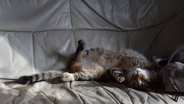 4. Как обычно проходят ваши выходные?