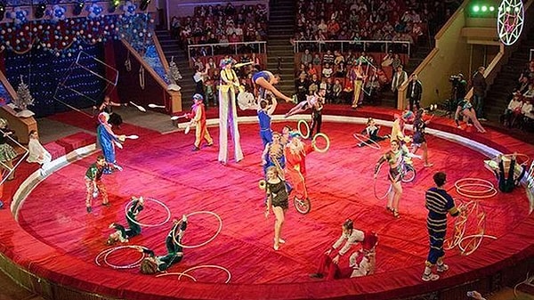 5. Вы любите посещать цирковые развлечения?