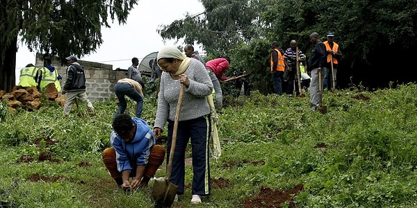 Yesil Miras Icin Tum Ulke Seferber Oldu Etiyopya 1 Gunde 200 Milyondan Fazla Agac Dikerek Rekor Kirdi Onedio Com