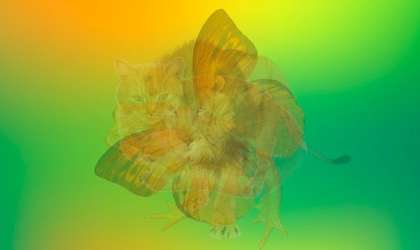 Смело делайте выбор: