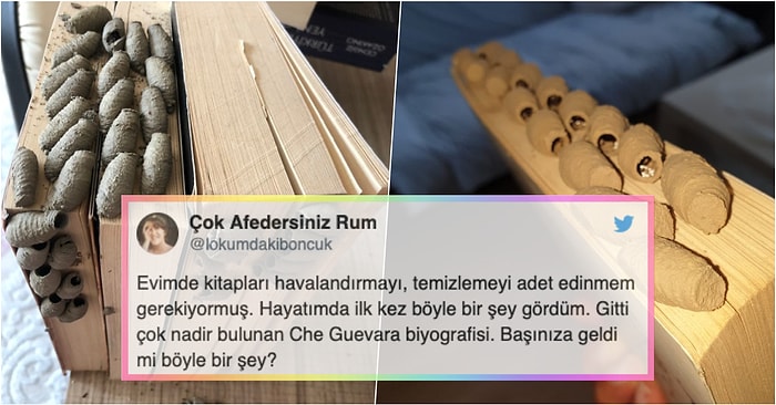 Kitaplarını Uzun Süredir Temizlemeyen Kullanıcının Attığı Tweet'ten Sonra Hepimizin Aklında Aynı Soru Var: Ne Yuvası Bu?