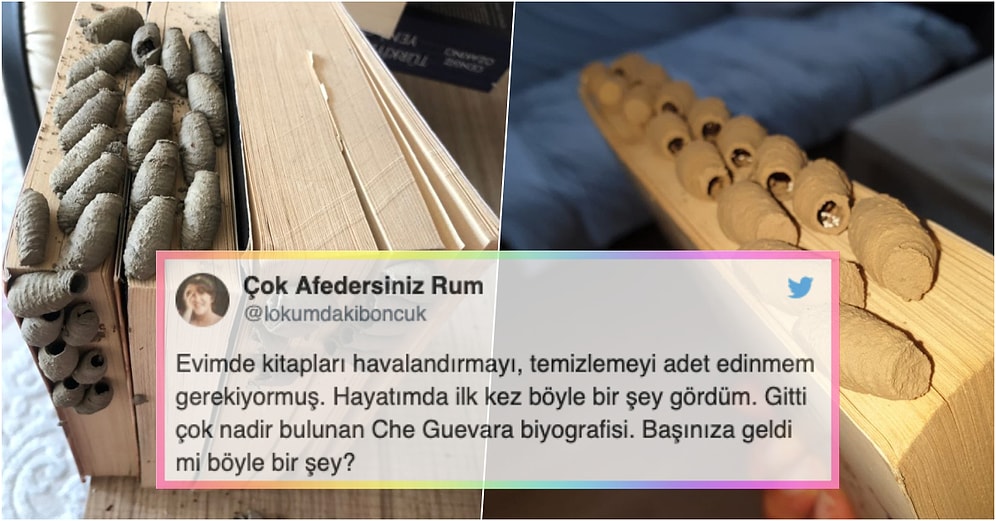 Kitaplarını Uzun Süredir Temizlemeyen Kullanıcının Attığı Tweet'ten Sonra Hepimizin Aklında Aynı Soru Var: Ne Yuvası Bu?