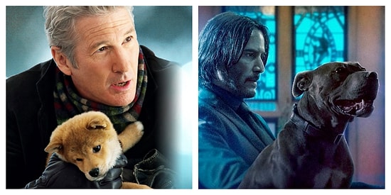 Тест: Вы по-настоящему внимательный зритель, если сможете вспомнить, в каких фильмах видели этих животных