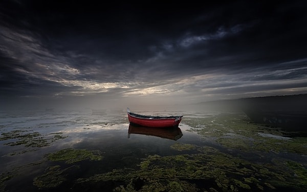 1. Что вы чувствуете, глядя на этот рисунок?