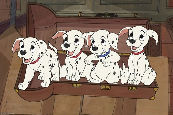 9. Сколько щенков родила Пердита в диснеевской истории «101 далматинец»?