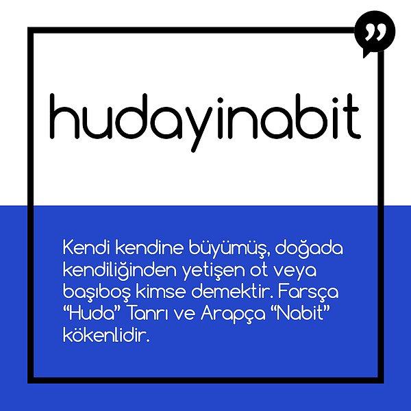 8. Hudayinabit