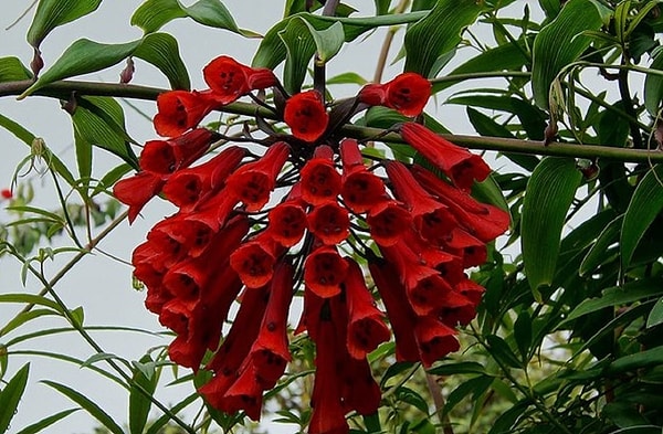 Браво! Вы в полном порядке!