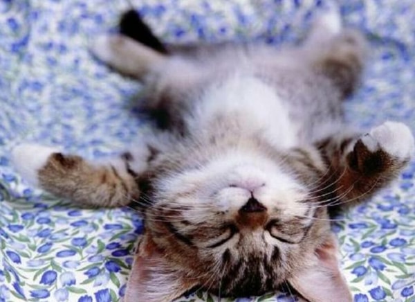 1. Как вы обычно проводите свои выходные?