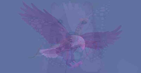 Итак, вы увидели орла!