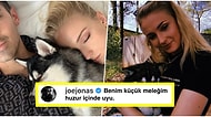 Gözyaşımız Kalmamıştır! Sophie Turner ve Joe Jonas Kaybettikleri Köpeklerinin Anısına Dövme Yaptırdılar