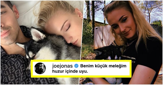 Gözyaşımız Kalmamıştır! Sophie Turner ve Joe Jonas Kaybettikleri Köpeklerinin Anısına Dövme Yaptırdılar