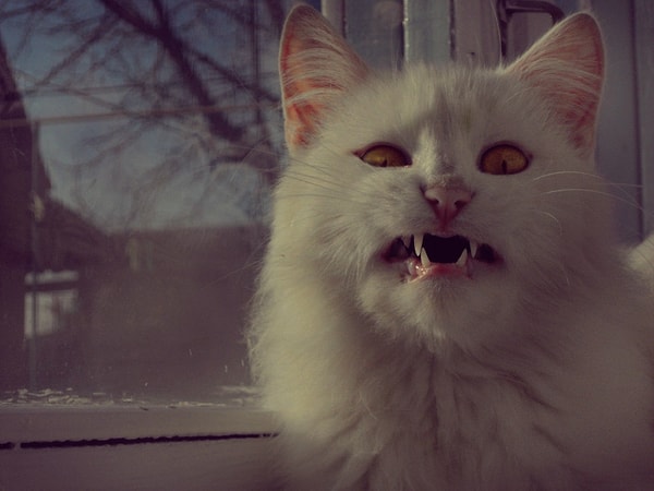 Первой вы увидели скважину