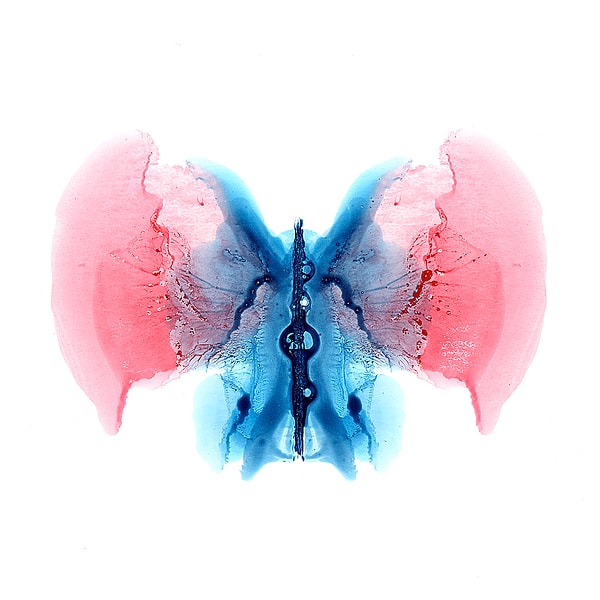 4. Что вы здесь видите?