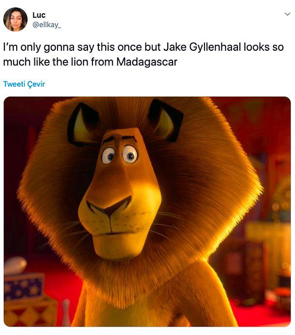 9. "Jake Gyllenhaal Madagascar'daki aslana çok benziyor."