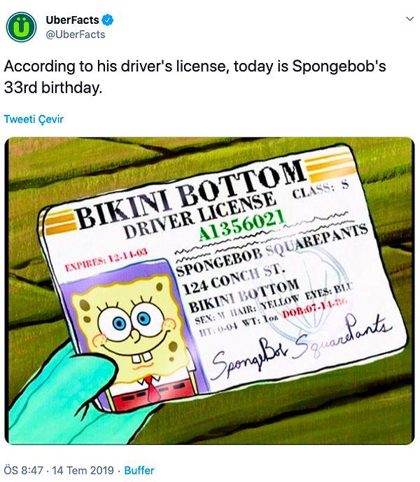 10. Ehliyetindeki bilgilere göre, SpongeBob 14 Temmuz'da 33 yaşına girmiş...