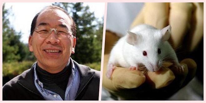 Bilim Kurgu Gerçek mi Oluyor? Japonya'da Yapılan İlk İnsan-Hayvan Embriyo Deneyi Çok Ses Getirecek!