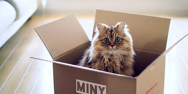 4. Как и с кем вы отметите свой переезд?