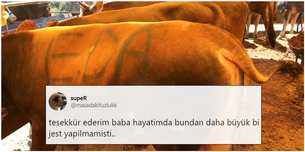 Aile Üyelerini Mizahlarına Alet Eden Goygoyculardan Haftanın En Eğlenceli 15 Paylaşımı