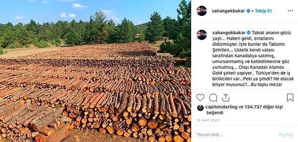 Instagram hesabından yaptığı paylaşımla kesilen ağaçların görüntülerini paylaştı ve "Yıllarca zehirlerini bu topraklara akıtıp, bütün herkesi kanser edip, bitkileri kurutup, nehirleri kaynak sularını bok edip, hayvanları öldürüp defolup gidecekler Kanadalarına" dedi.