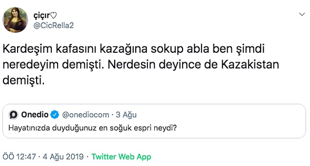 18. Kardeşinin kafasında olmak isterdim. 😅