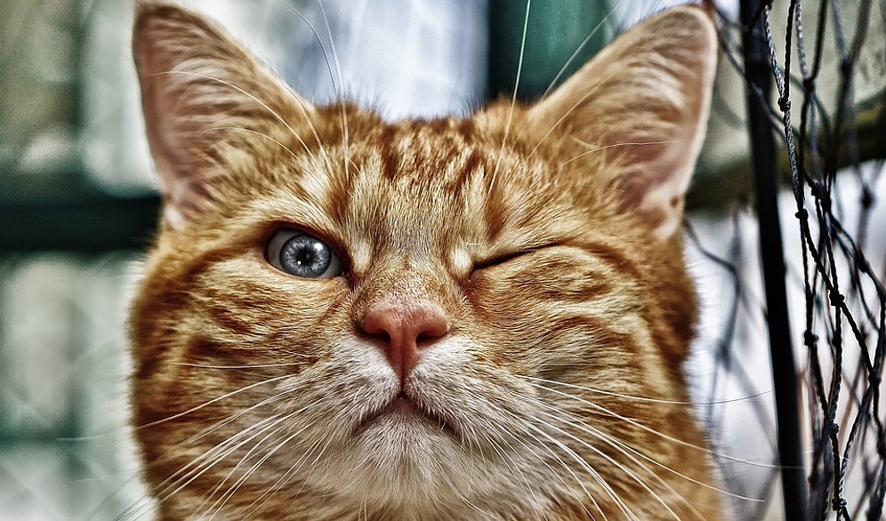 Bize Kedini Anlat, Sana Taktığı İsmi Söyleyelim!