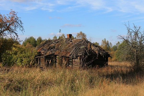 25. Покосившийся домик в Брянской области 👇