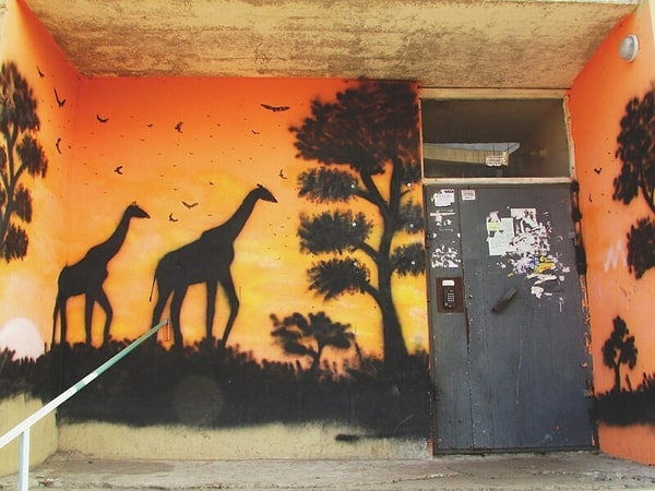 26. Немного подъездов Курска