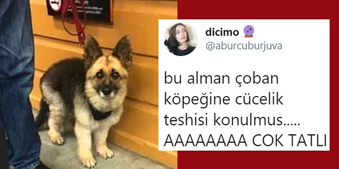 Ponçikliğiyle Kalbimizin Tam Ortasından Vurmuş Gözlerimizi Kalplerle Dolduran 10 Paylaşım