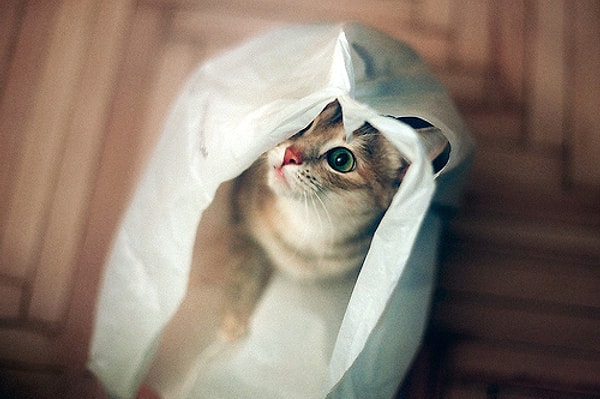 20. Выберите правильное написание: