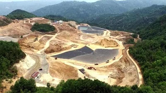 18 yılda, ağaçla kaplı alanımızın yüzde 4,1'ini kaybettik