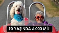 Hayallerinizi Ertelemeyin! 90 Yaşında Kanserle Savaşırken Bir Yandan da Köpeğiyle Dünyayı Dolaşan Cesur Norma'nın Hikayesi