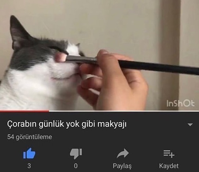 4. Çopik.