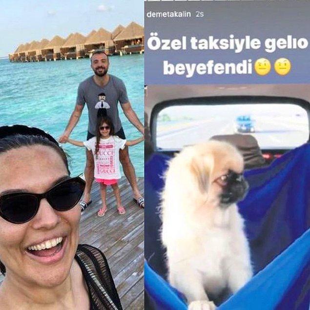 Akalın, kızı Hira'nın İstanbul'daki köpeğini özlemesi üzerine 2.200 TL'ye VIP araç kiralayıp Bodrum'a getirtti. Bunu da "Özel taksiyle geliyor beyefendi" diyerek paylaştı.
