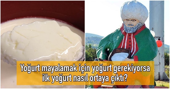 Bilgiyi Oksijen Gibi Solumak İsteyenlerin Bünyesinde Adeta Amazon Ormanları Etkisi Yaratacak 14 Soru ve Cevap