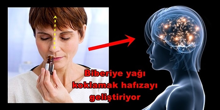 Biberiye Yağı Hakkında Daha Önce Duymadığınız 11 Şaşırtıcı Bilgi