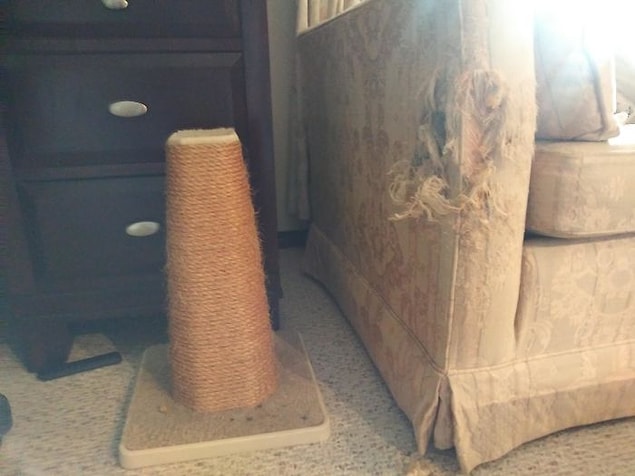 14. Kendi adına her şeyi açıklayabilen bu fotoğraf...